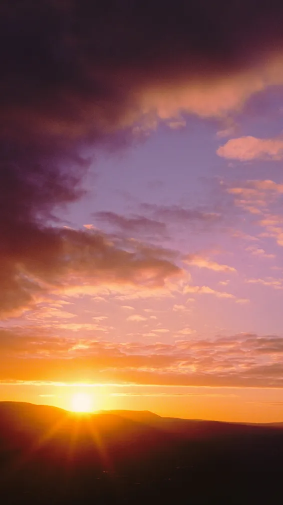 Thérapie relation toxique